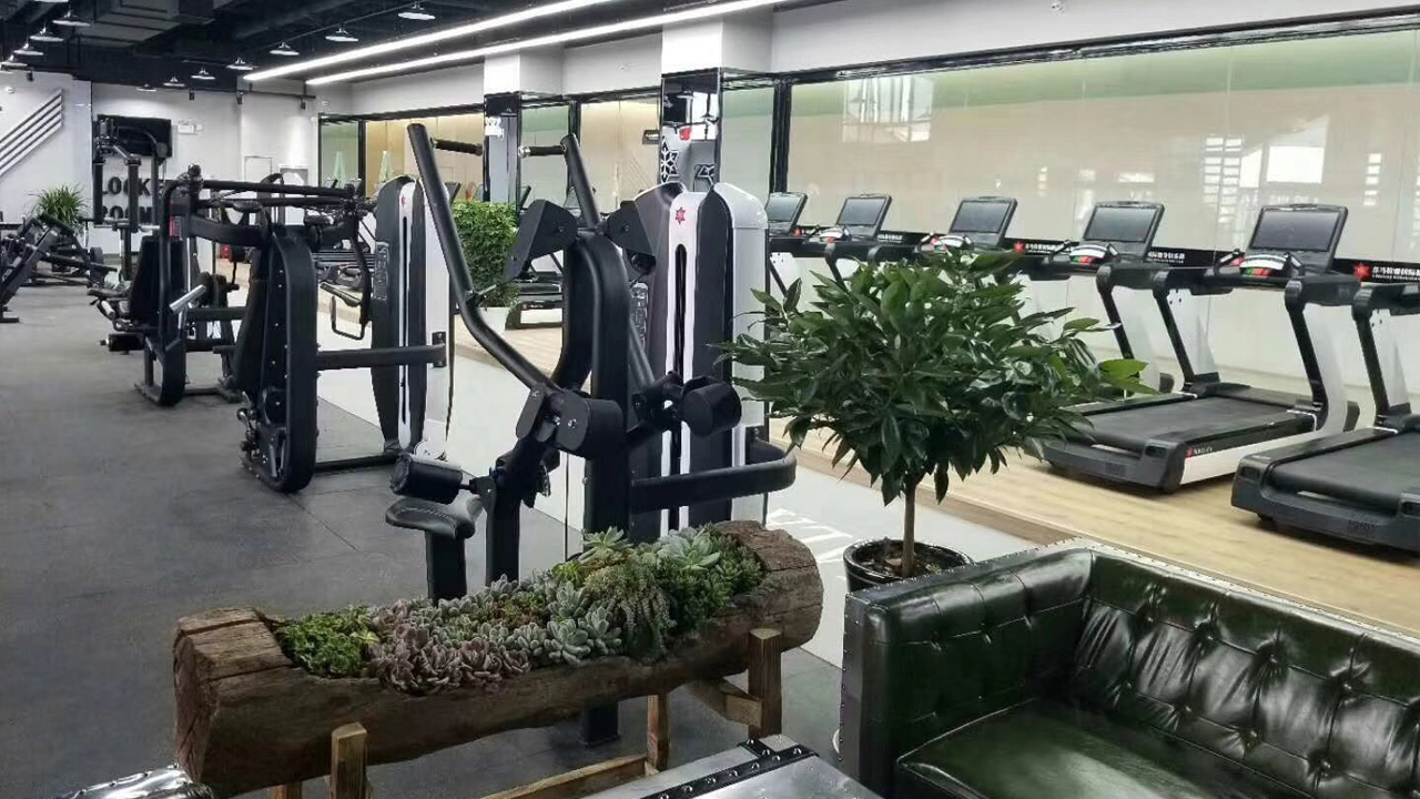SHANDONG LAND FITNESS TECH CO., LTD equipment 7