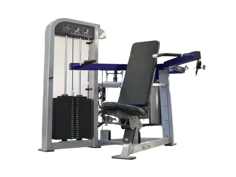 Deltoid Building Shoulder Press Machine